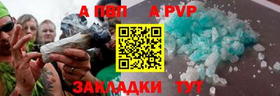 индика Новозыбков